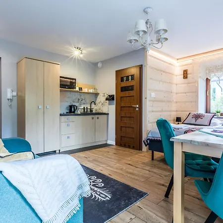 Przy Dolinie Apartment Koscielisko